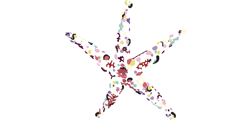 Stella-Marina-opera-small-ARTIS-AR-Soluzioni-Web-Imola